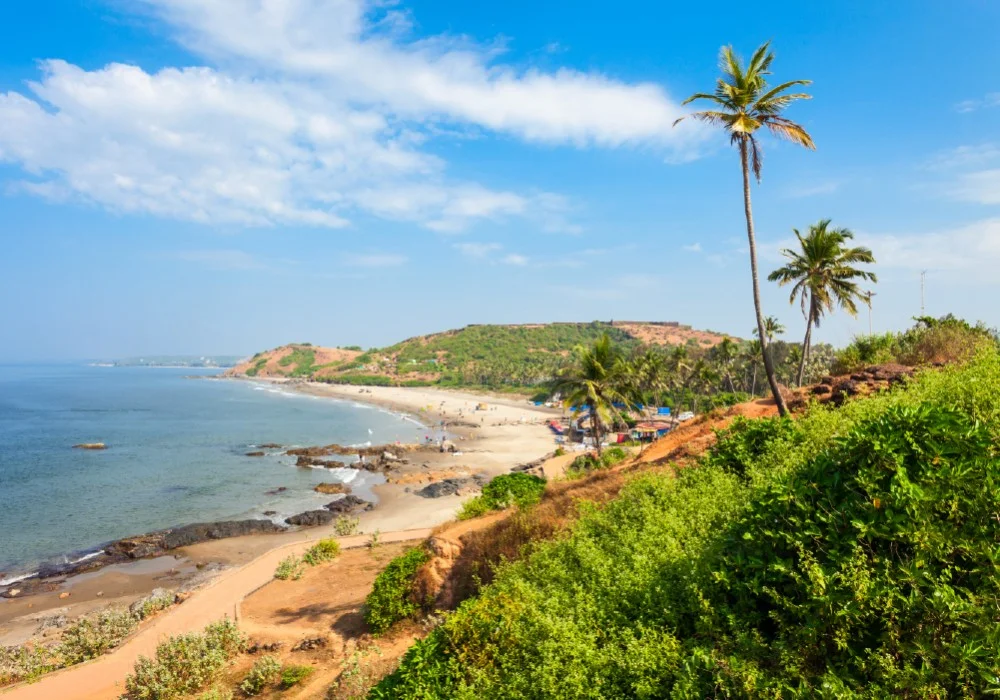 why should you buy an apartment in Goa?